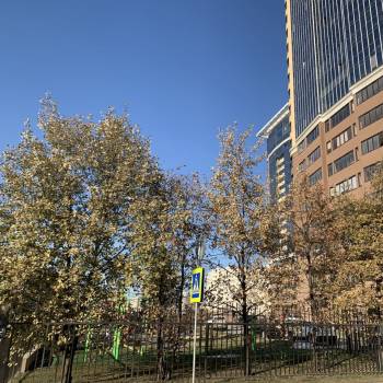 Продается 3-х комнатная квартира, 98,7 м²