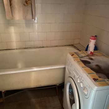 Сдается 2-х комнатная квартира, 52 м²