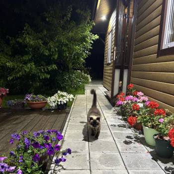 Продается Дом, 50 м²