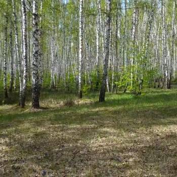 Продается Участок, 1200 м²