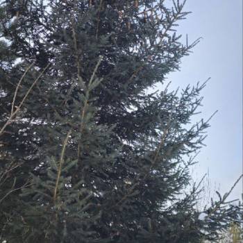 Продается Участок, 1200 м²