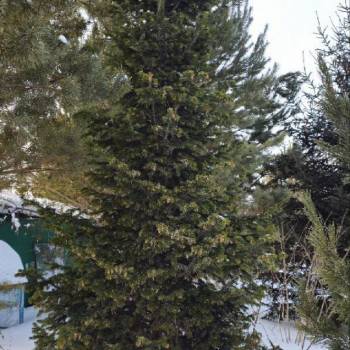 Продается Участок, 1200 м²