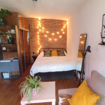 Сдается 1-комнатная квартира, 30 м²