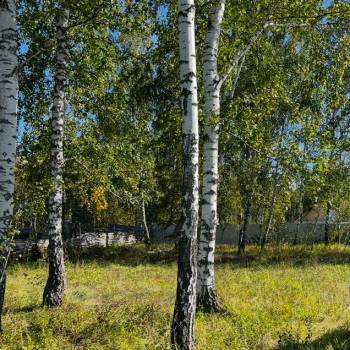 Продается Участок, 800 м²