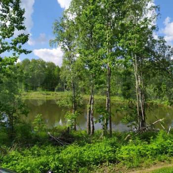 Продается Участок, 1200 м²