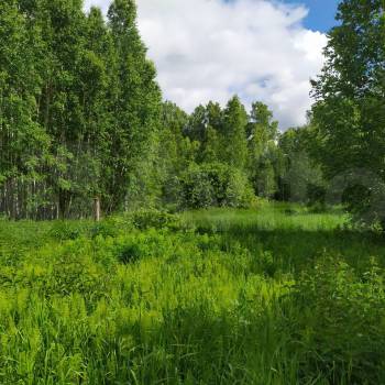 Продается Участок, 1200 м²