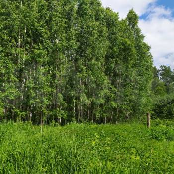 Продается Участок, 1200 м²