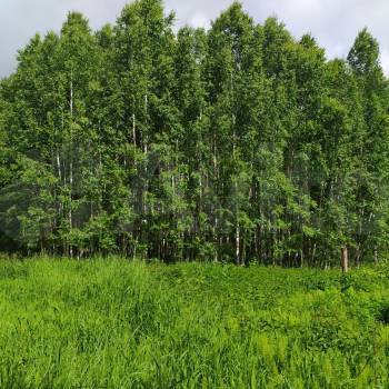 Продается Участок, 1200 м²