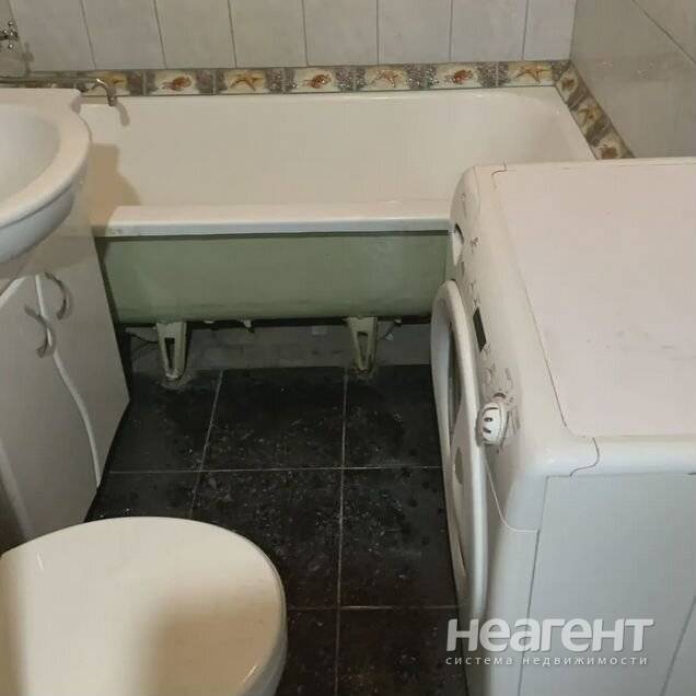 Фотография №3