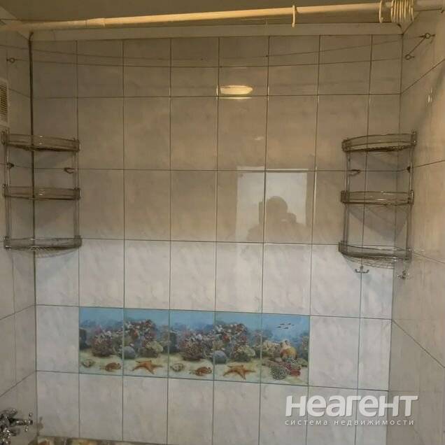 Фотография №5