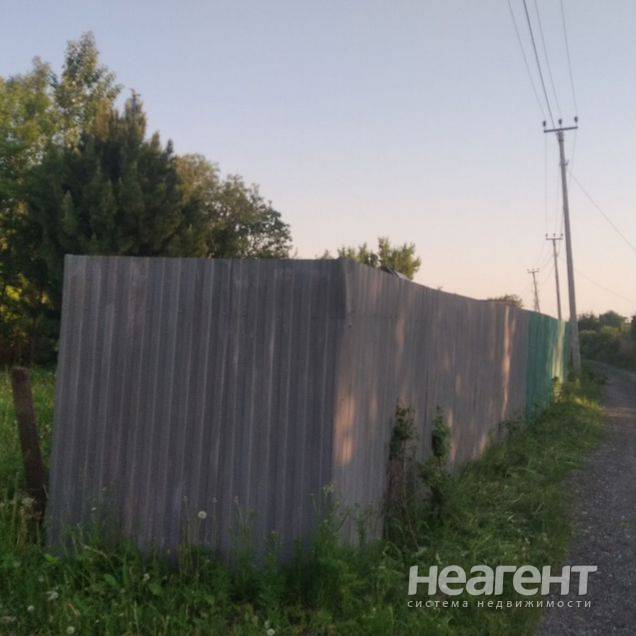 Фотография №2