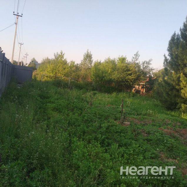 Фотография №3