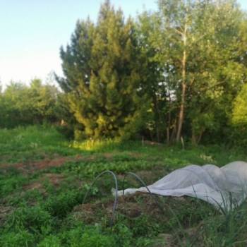 Продается Участок, 410 м²