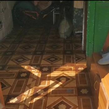 Сдается Дом, 55 м²