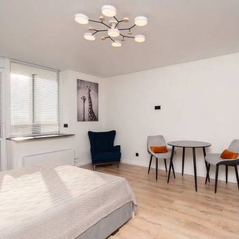 Сдается 1-комнатная квартира, 31 м²