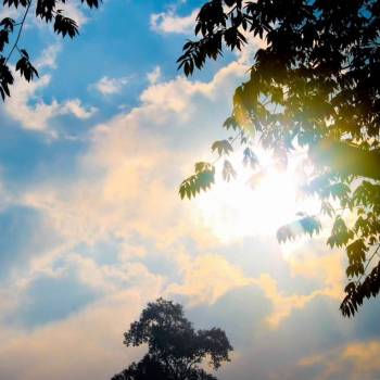 Продается Участок, 1200 м²