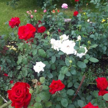 Продается Дом, 70 м²