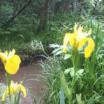 Продается Дом, 70 м²