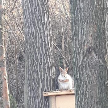 Продается Дом, 70 м²