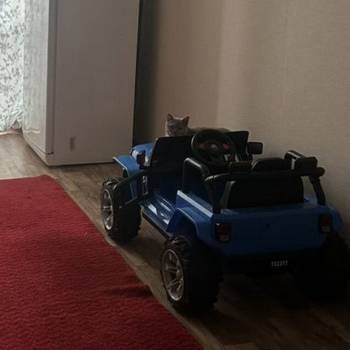 Продается 3-х комнатная квартира, 63 м²