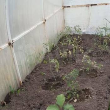 Продается Участок, 600 м²