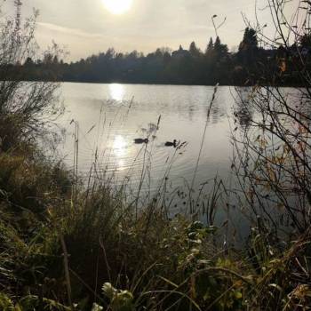 Продается Участок, 1200 м²