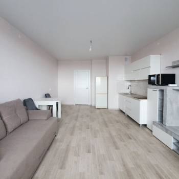 Сдается 1-комнатная квартира, 30,1 м²