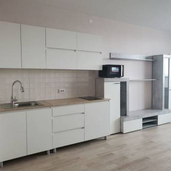 Сдается 1-комнатная квартира, 30,1 м²