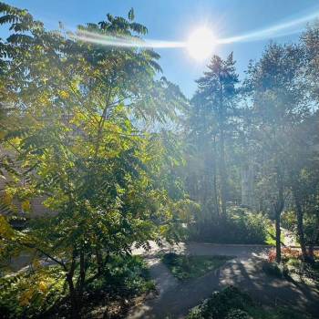 Сдается 2-х комнатная квартира, 43 м²