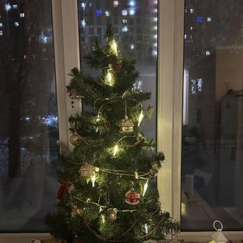 Сдается 2-х комнатная квартира, 36,5 м²