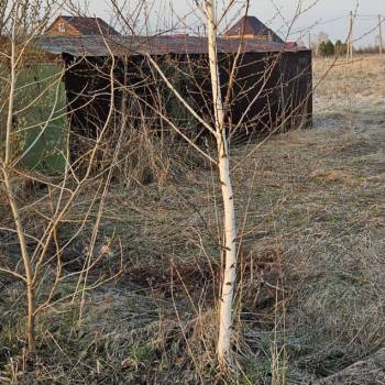 Продается Участок, 1000 м²