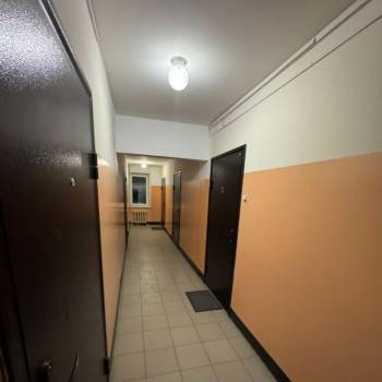 Сдается 1-комнатная квартира, 20,7 м²