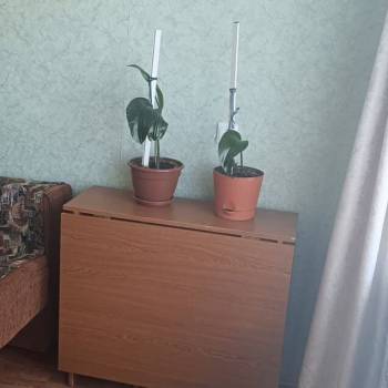 Сдается Комната, 18 м²