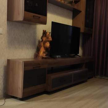 Сдается 1-комнатная квартира, 42 м²