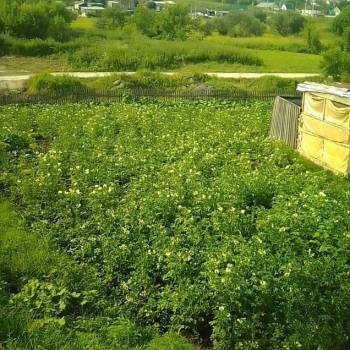 Продается Участок, 900 м²