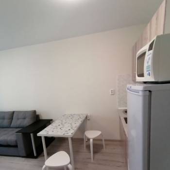 Продается 1-комнатная квартира, 28,2 м²