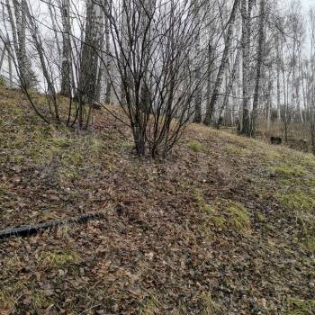 Продается Участок, 1000 м²