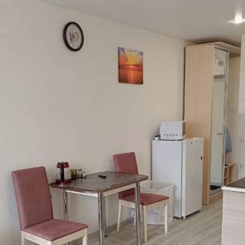 Сдается 1-комнатная квартира, 21,7 м²
