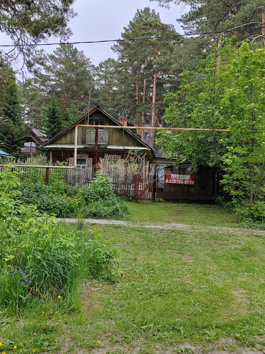 Фотография №13