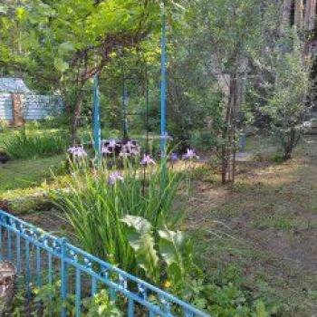 Продается Дом, 42 м²