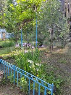 Фотография №15