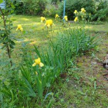 Продается Дом, 42 м²