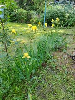 Фотография №2