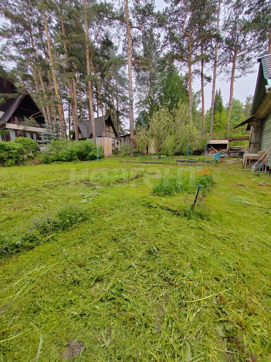 Фотография №16