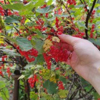 Продается Дом, 42 м²