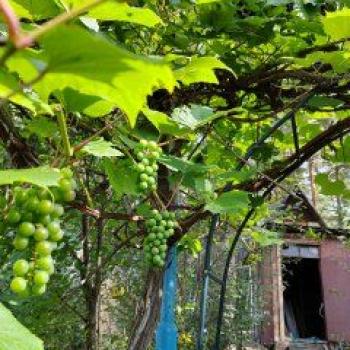 Продается Дом, 42 м²