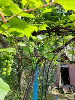 Фотография №18