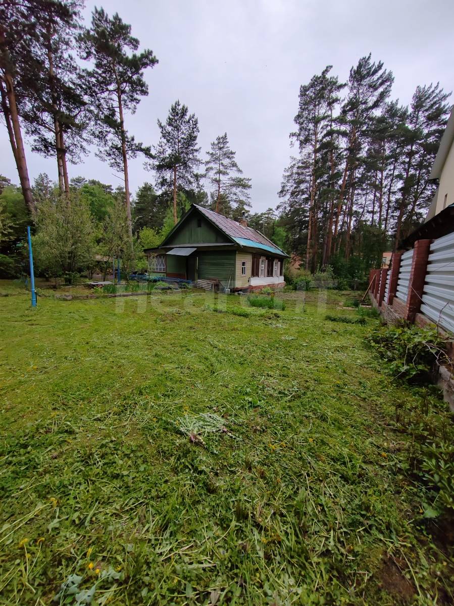 Фотография №19