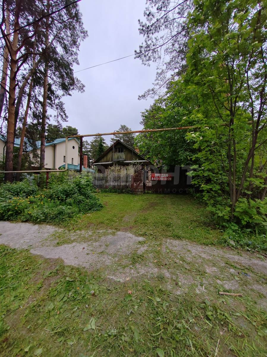 Фотография №3