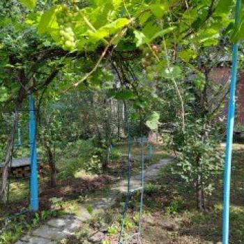 Продается Дом, 42 м²